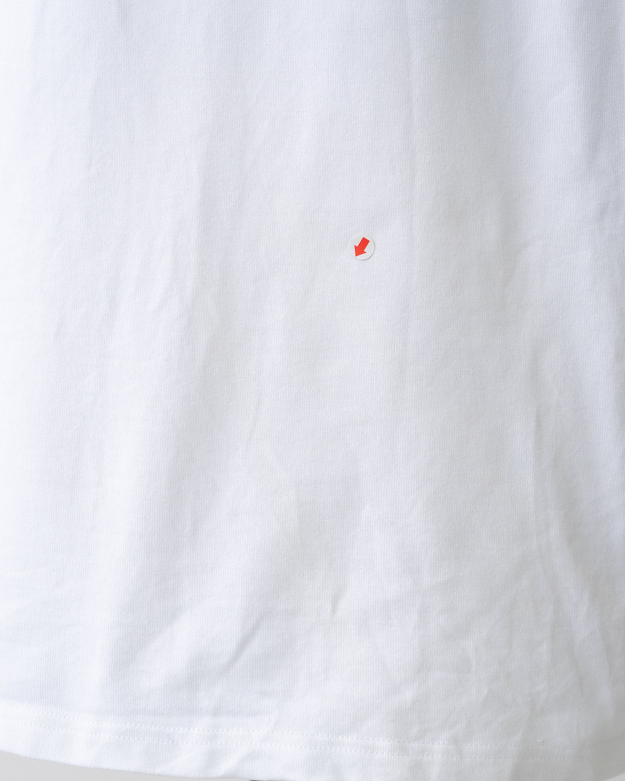 〈Alexander McQUEEN〉Iris T-shirt